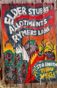 IMG_20150929_104143136